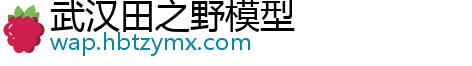 武汉田之野模型